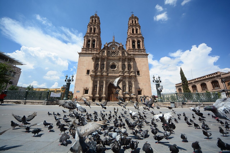 Chihuahua