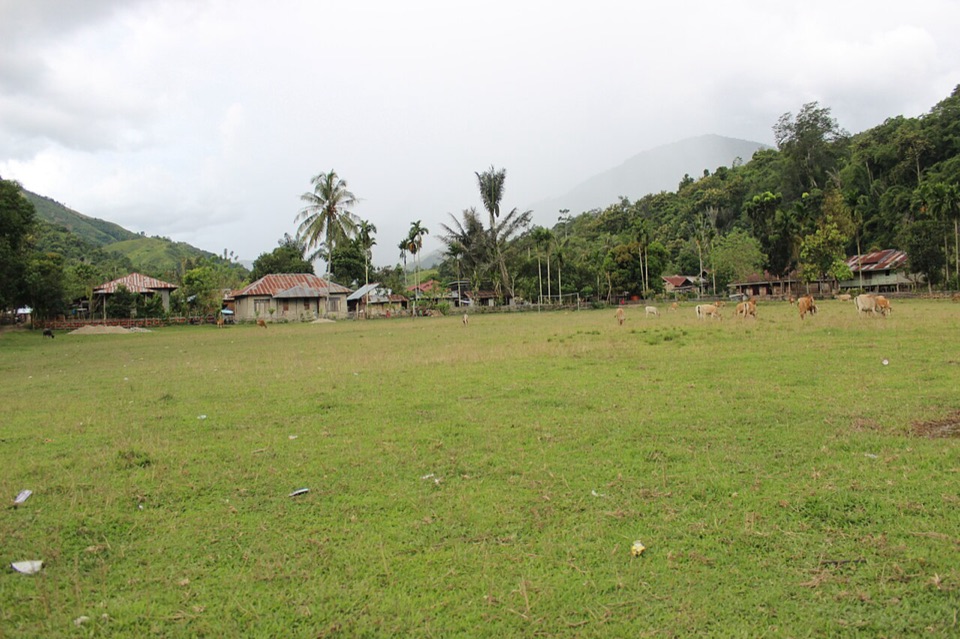 Mamuju