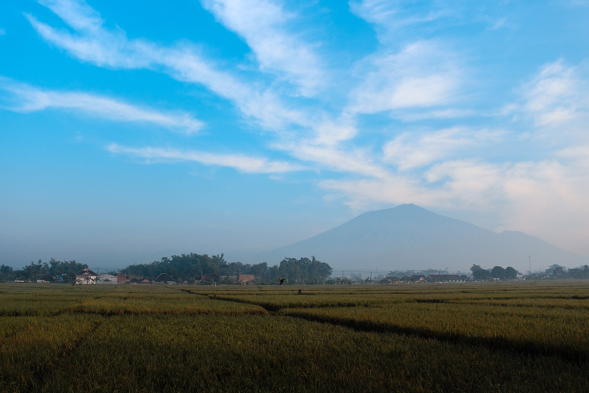 Mount Arjuno seen from Singosari, Malang, Malang — flights from Jakarta to Malang