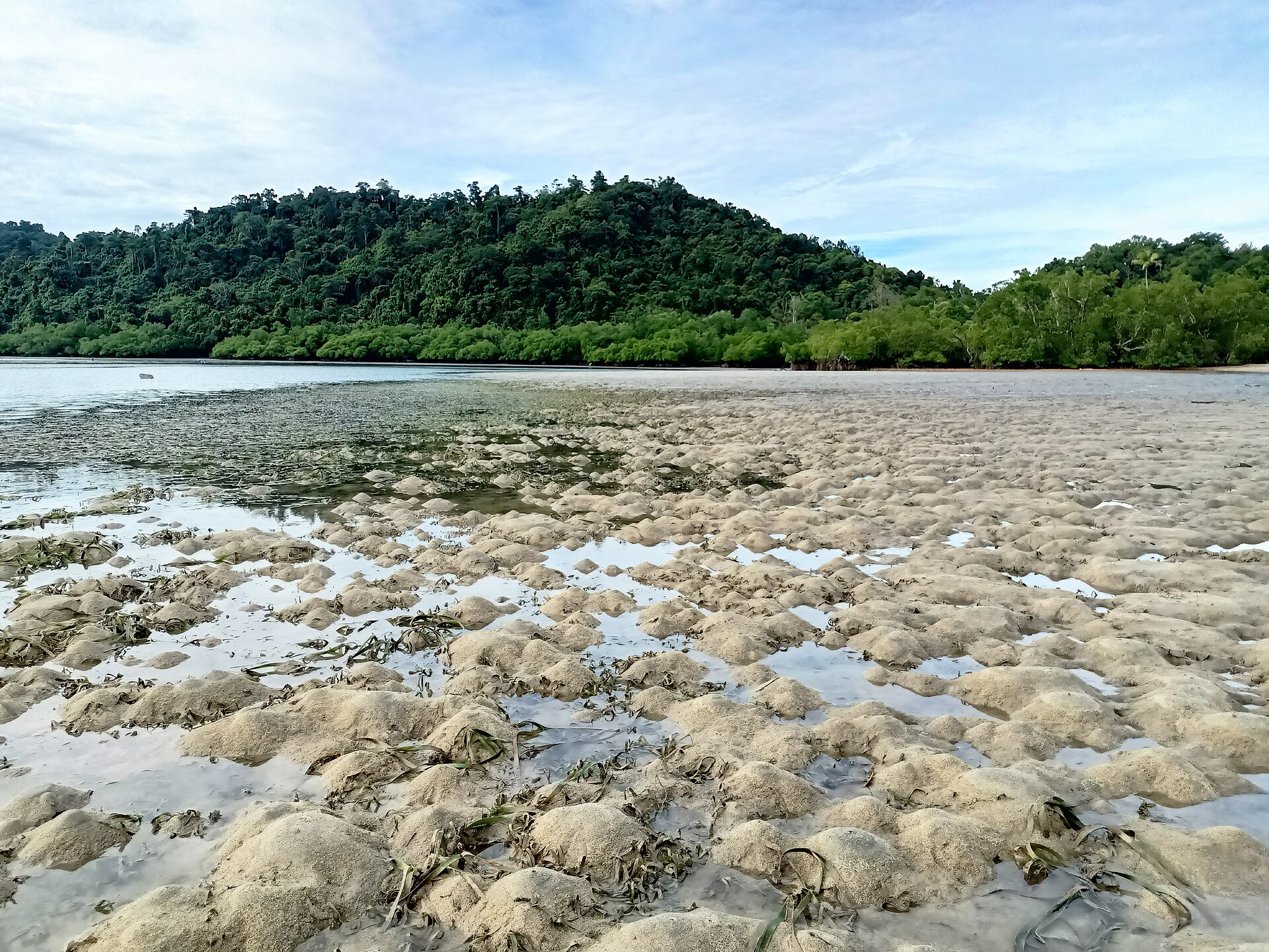 Taman Nasional Teluk Cendrawasih - Nabire - Papua, Nabire — flights from Jakarta to Nabire