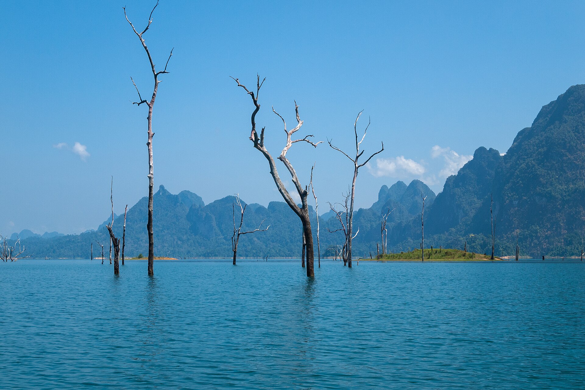 Trees rising out of Cheow Lan Lake, blue sky, eternal summer in Surat Thani, Surat Thani — flights from Bangkok to Surat Thani