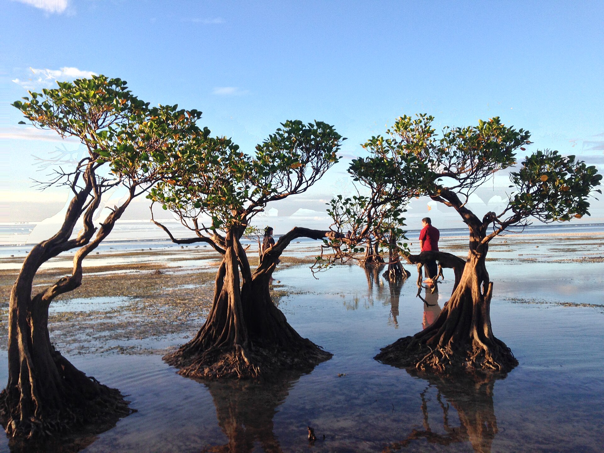 Padadita Beach, Waingapu 18, Waingapu — flights from Jakarta to Waingapu
